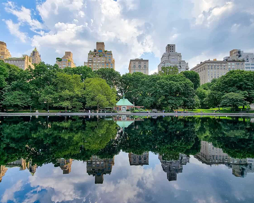 Central Park Is More Than Just a Place for Walking? 5 Hidden Ways to Play
