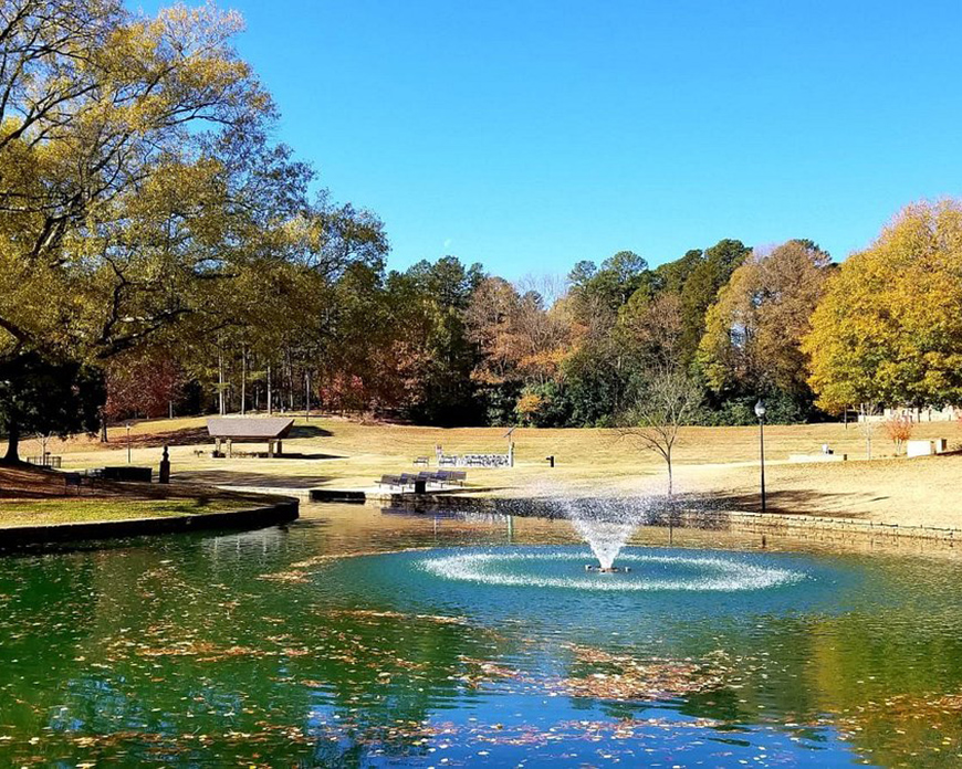 Green Escapes: The Best Parks to Chill Like a Local in Charlotte